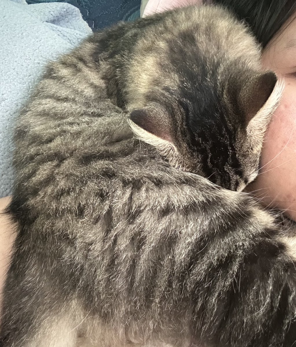 𐙚 Cally bakulan era tweet media