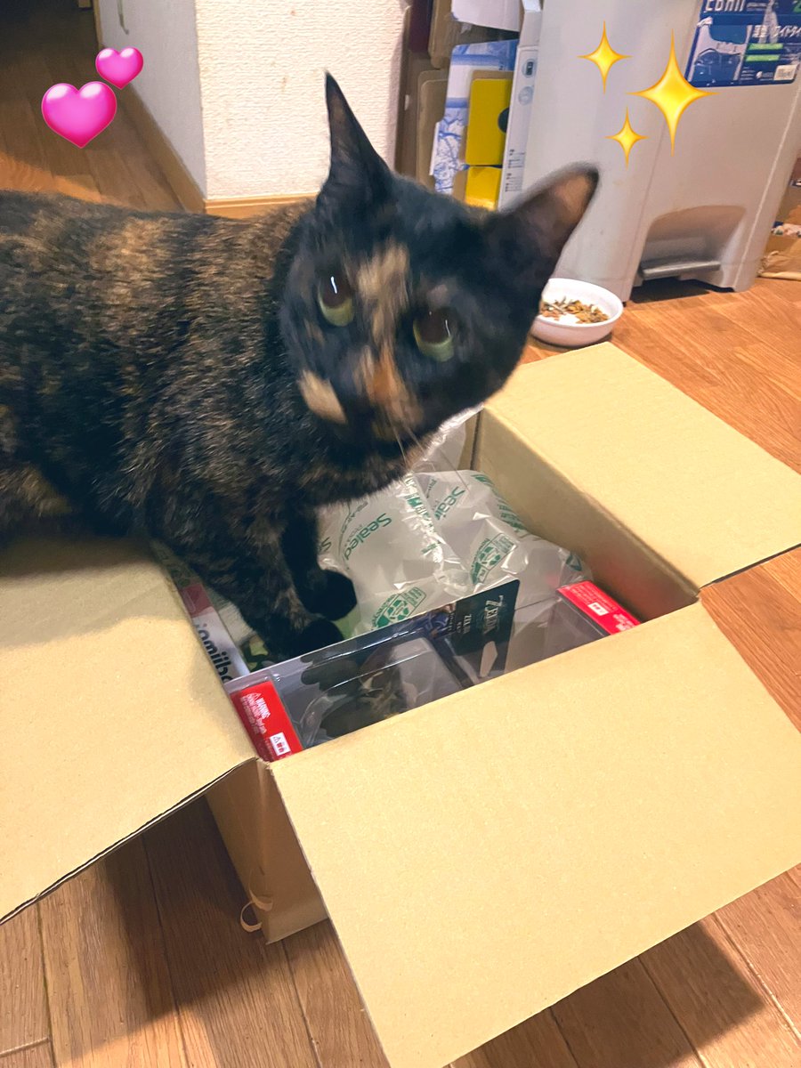 あやや tweet media