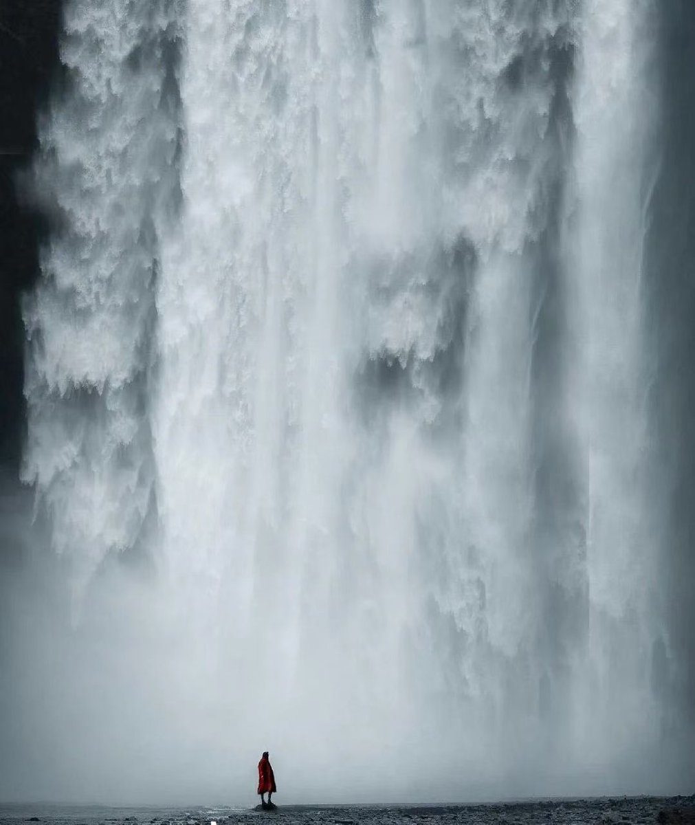 🐾喵不可言🐾🐾（互关互FO） tweet media