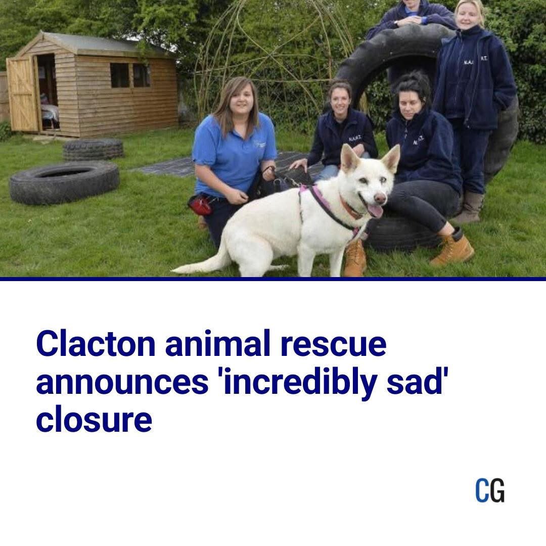 dominic dyer tweet media