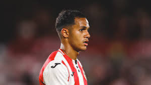 Brentford Daily 🐝 tweet media