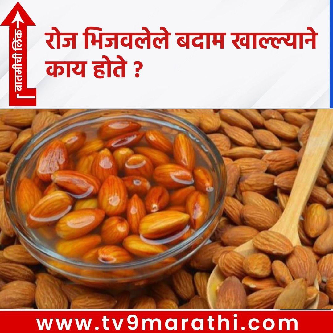TV9Marathi's tweet image. रोज भिजवलेले बदाम खाल्ल्याने काय होते ?
 tv9marathi.com/web-stories/kn…
#Almonds #VitaminE #Antioxidants #MentalSharpness #ImprovedMemory #Protein #HealthyFats #HeartHealth #GlowingSkin