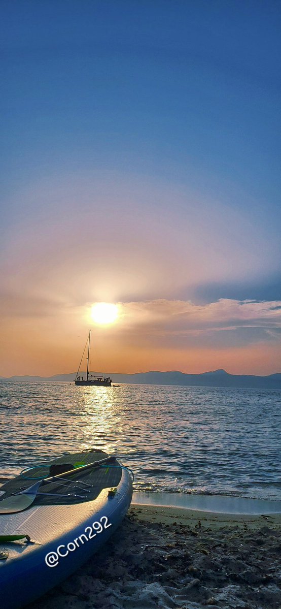 🅒︎🅞︎🅡︎N tweet media