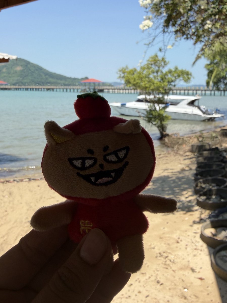 ⋆˚ ‎༘⋆ กก⋆˚✿˖ ft. FB fancon🍅🦊 tweet media