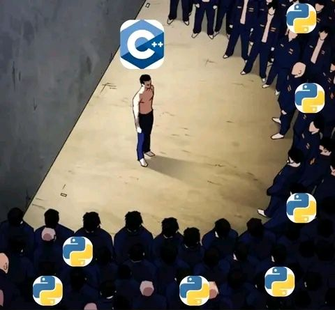 Python Developer tweet media