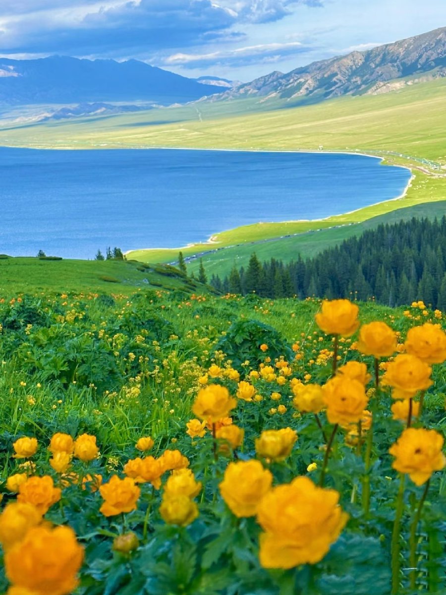 晴天的晴（互fo、定时清理没有互的！） tweet media