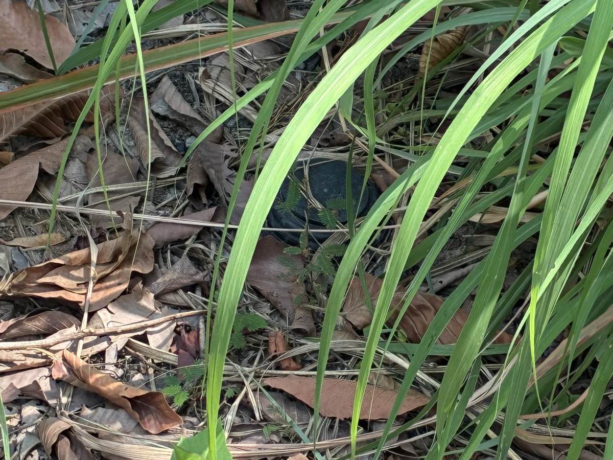 taka__crypto2 tweet media