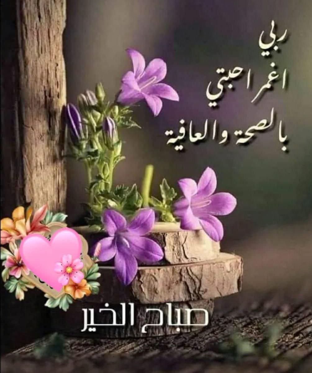 روان وانا بنت ابوي tweet media