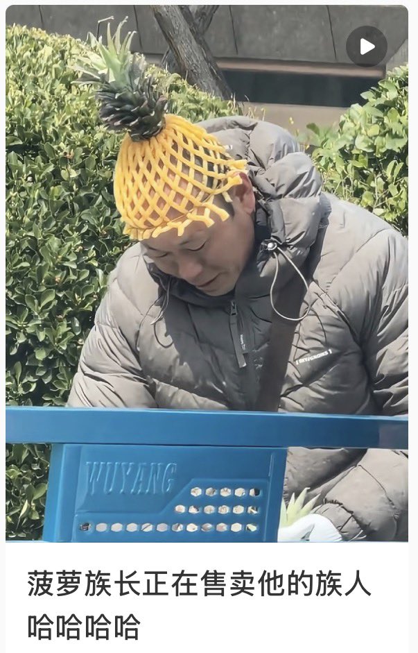 禿道道🐟 tweet media