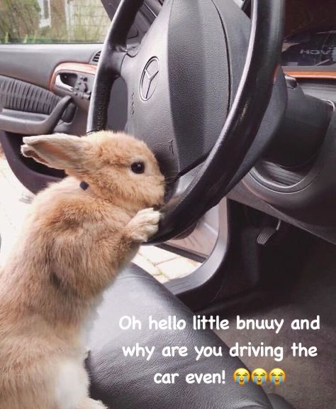 ︎ ︎ ︎ ︎ ︎ ︎ ︎ ︎ ︎ ︎ ︎ #͢wₑ𝔟──𝗛𝗘͜͡𝗔𝗗 ︎ ︎.ᐟ tweet media