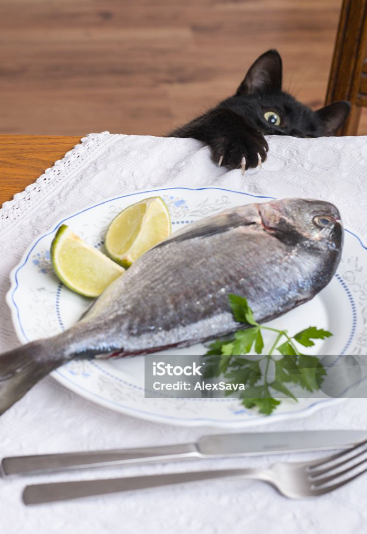 Rozalin_DA ART 🌹 tweet media