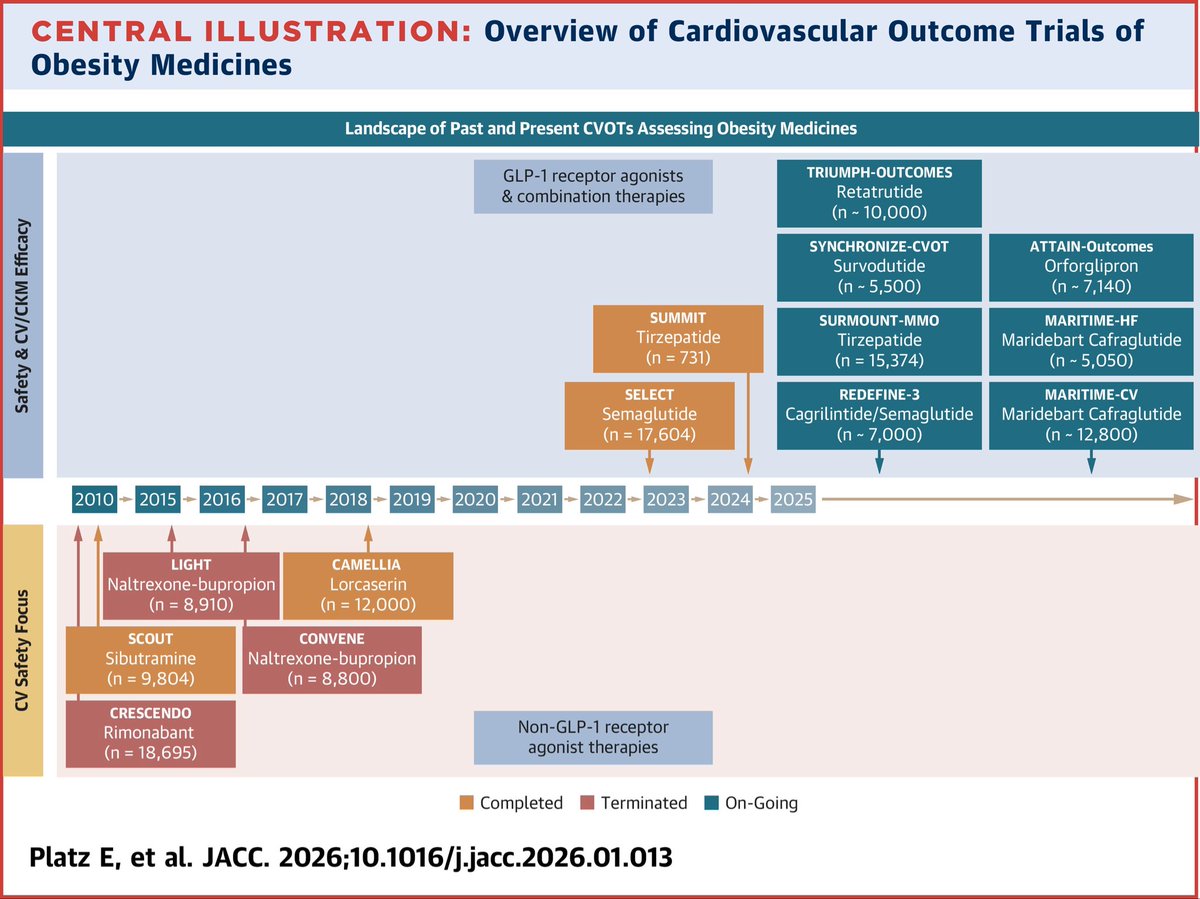 Cristina Tejera tweet media