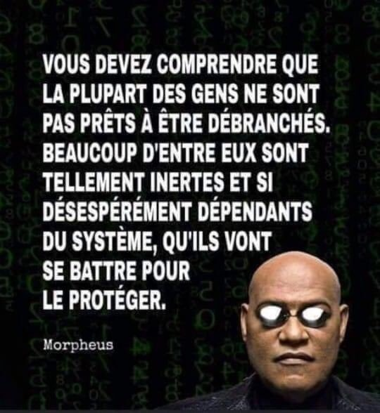 allo toi IV #NoAmnesty tweet media