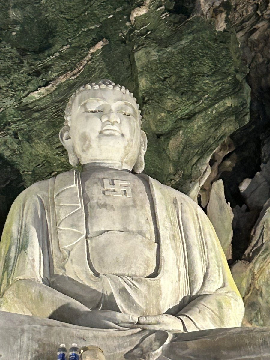 Jake Shields tweet media