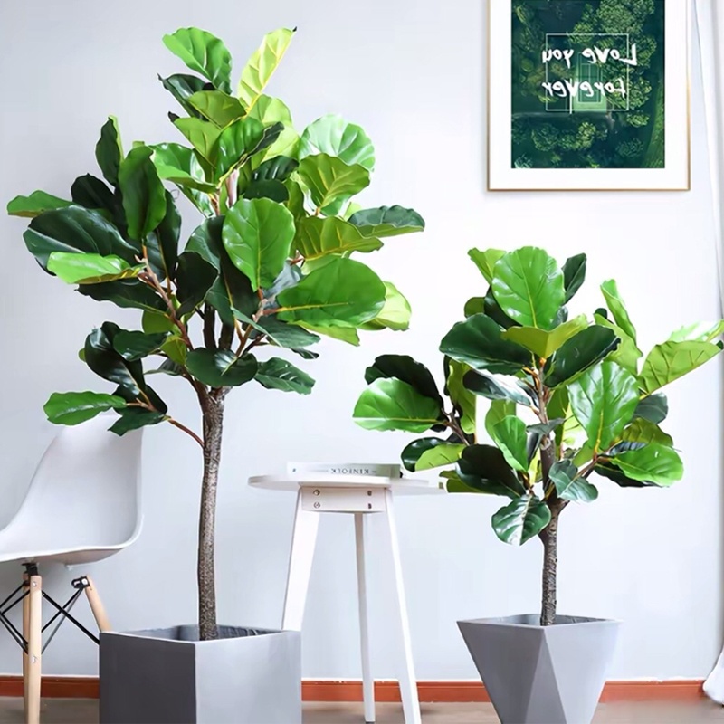 Mr.Elias tweet media