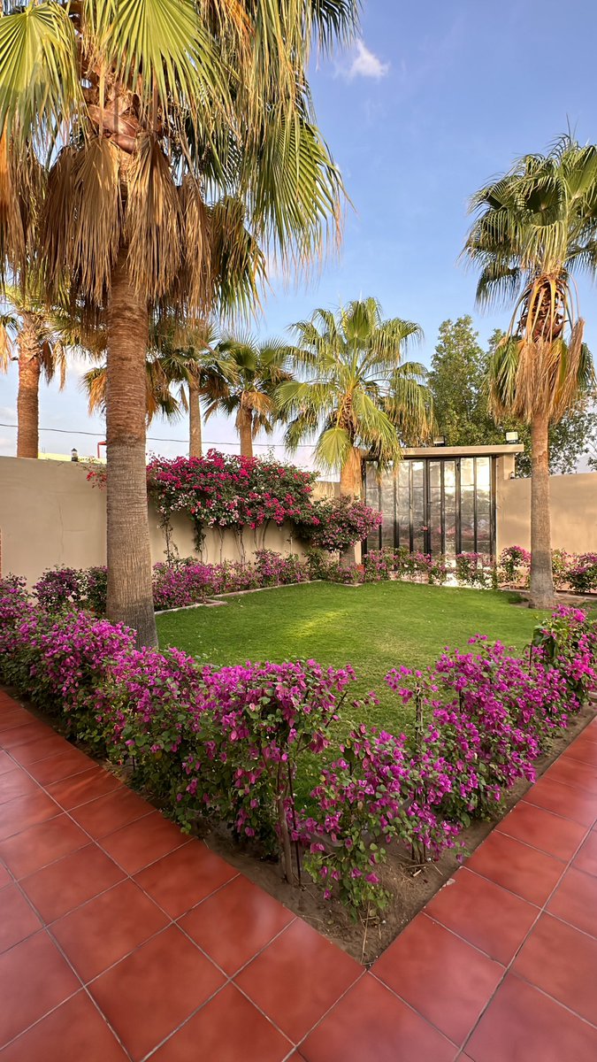 FAI | فيَّ🪄🎀 tweet media