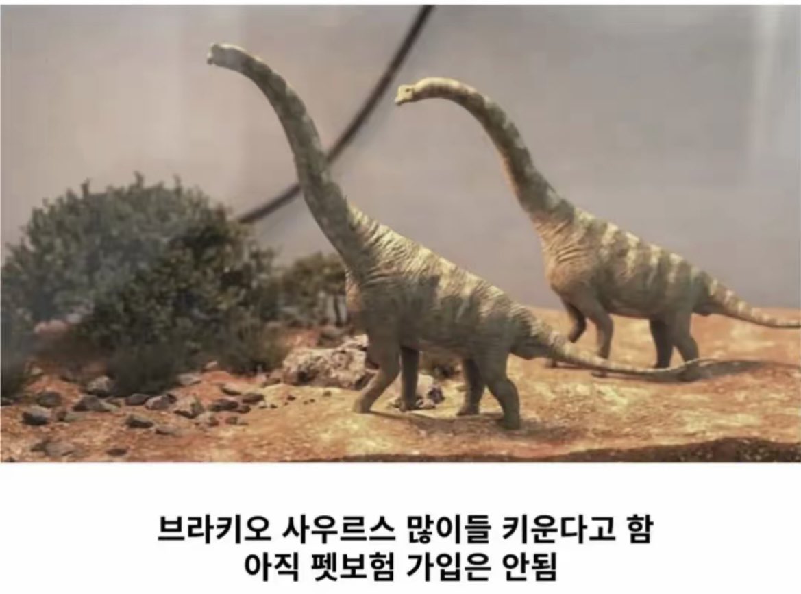 돌아온지지 tweet media