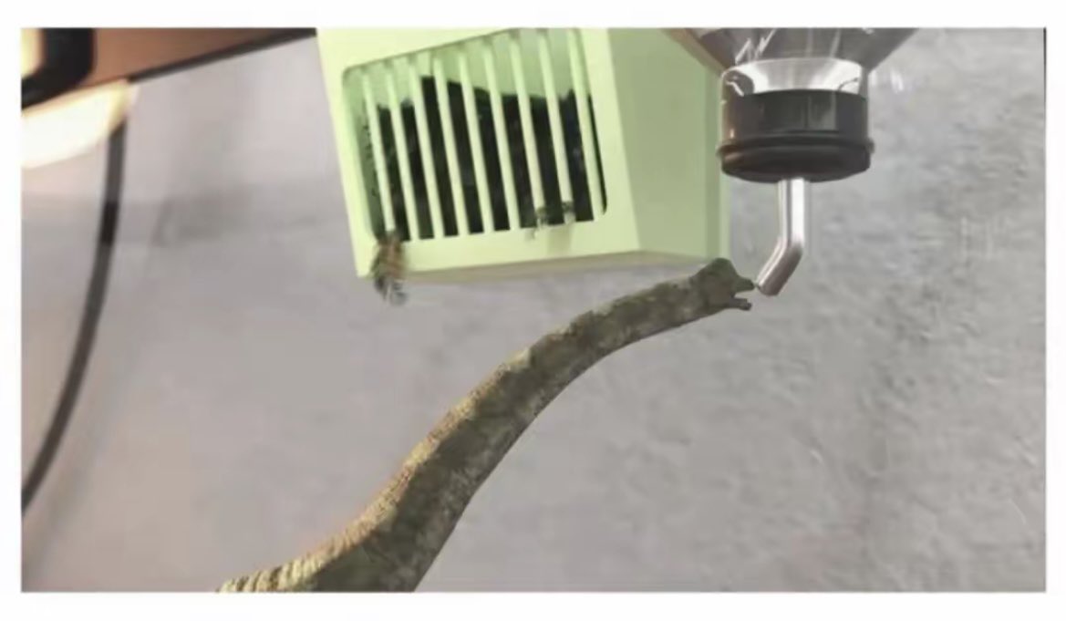 돌아온지지 tweet media