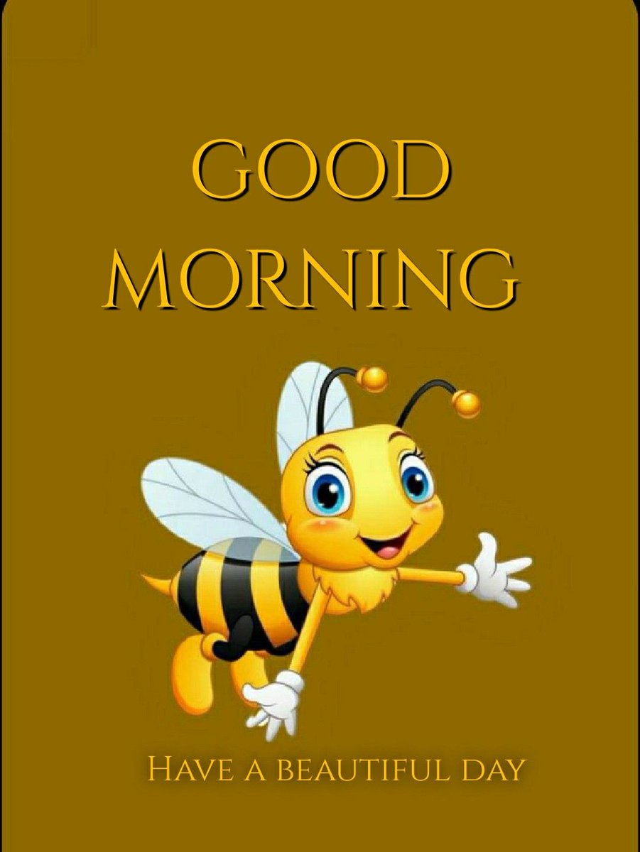 Alan kilty tweet media