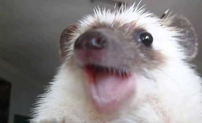 뽁주💙 tweet media