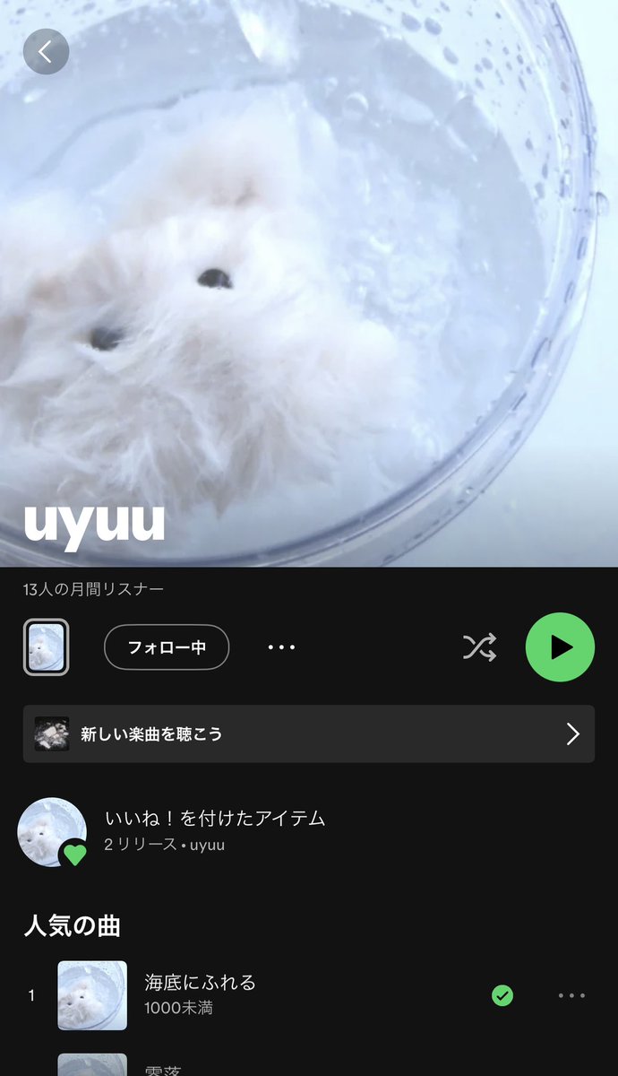 コーチ tweet media