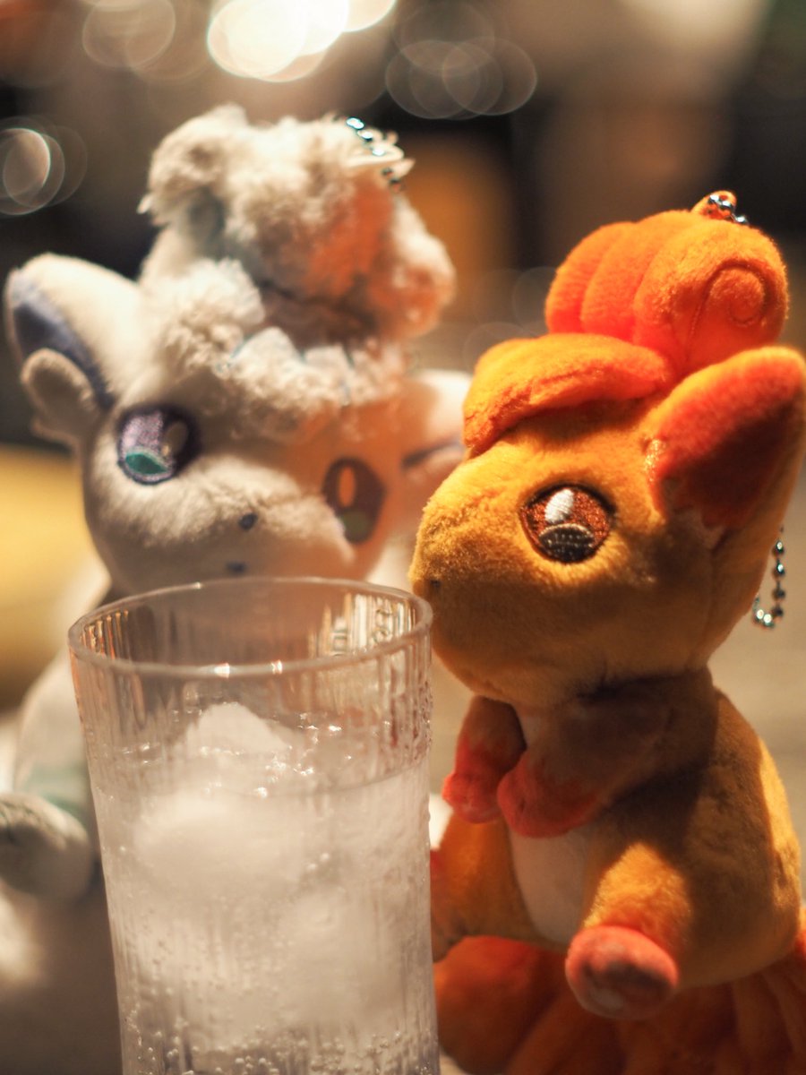 camera_mirai's tweet photo. みらいの子はロコンとアロコン🦊✨️

#ぬい活
#ポケモン
#みらいかめら https://t.co/mjKDVtCz6W