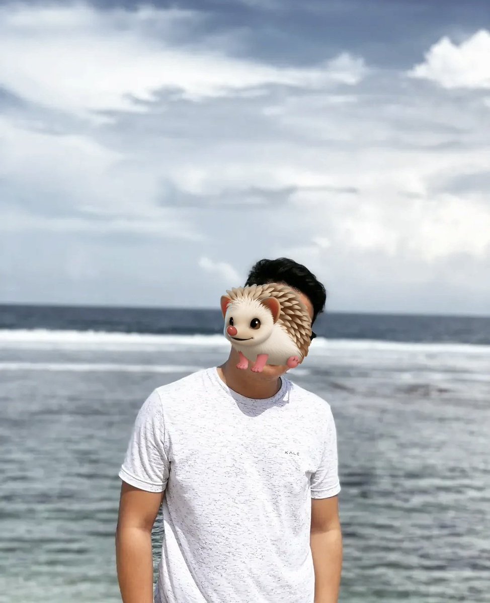 Cyndewquil 🦔🔥 tweet media