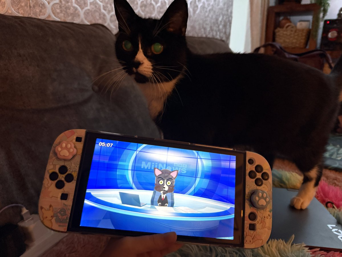 ☀️Sunny🌈 ₍^. ̫.^₎ tweet media