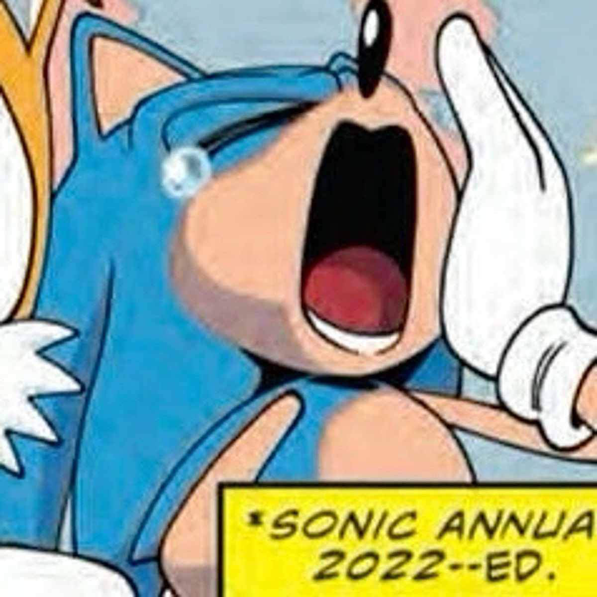 𝙁𝙍𝙀𝙀 ࿔ 𝘐𝘕 𝘛𝘏𝘌 𝙒𝙄𝙉𝘿 .ᐟ tweet media