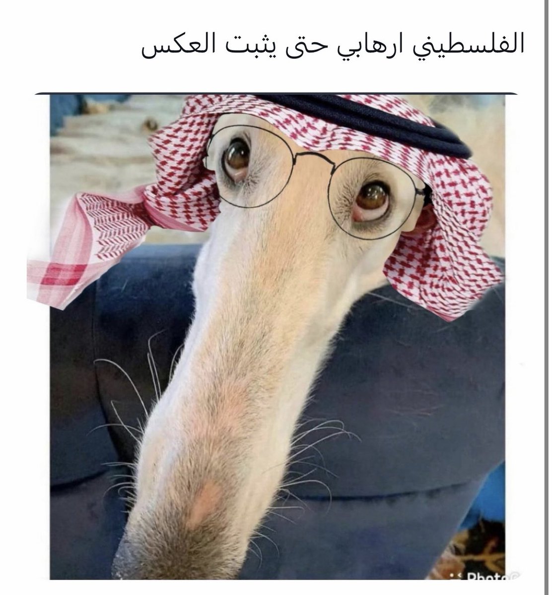 Mustadam tweet media