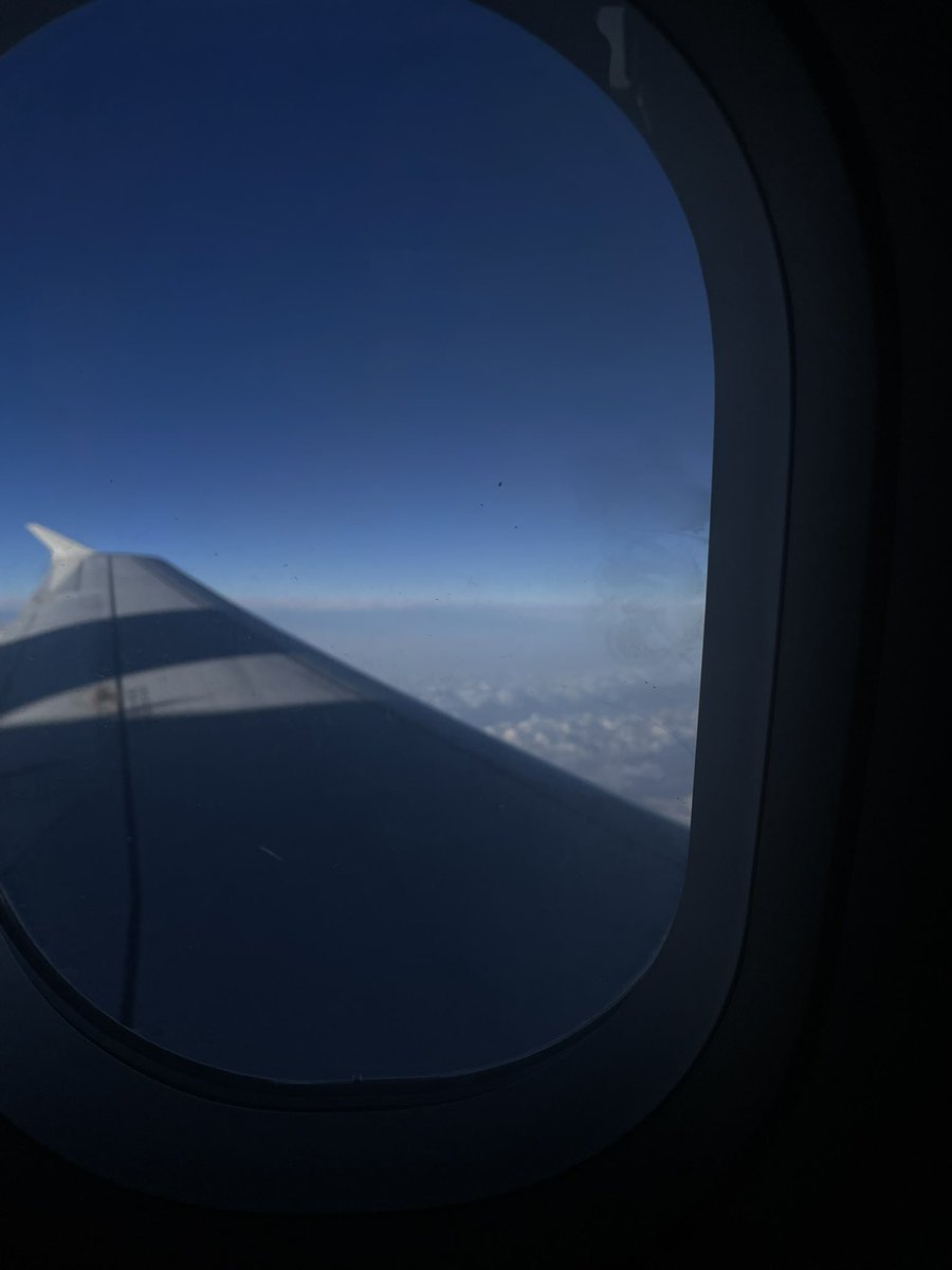 Lulu in Apartment No.16 tweet media