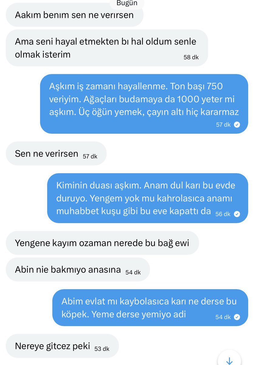 Şeref Düzyatanlar tweet media