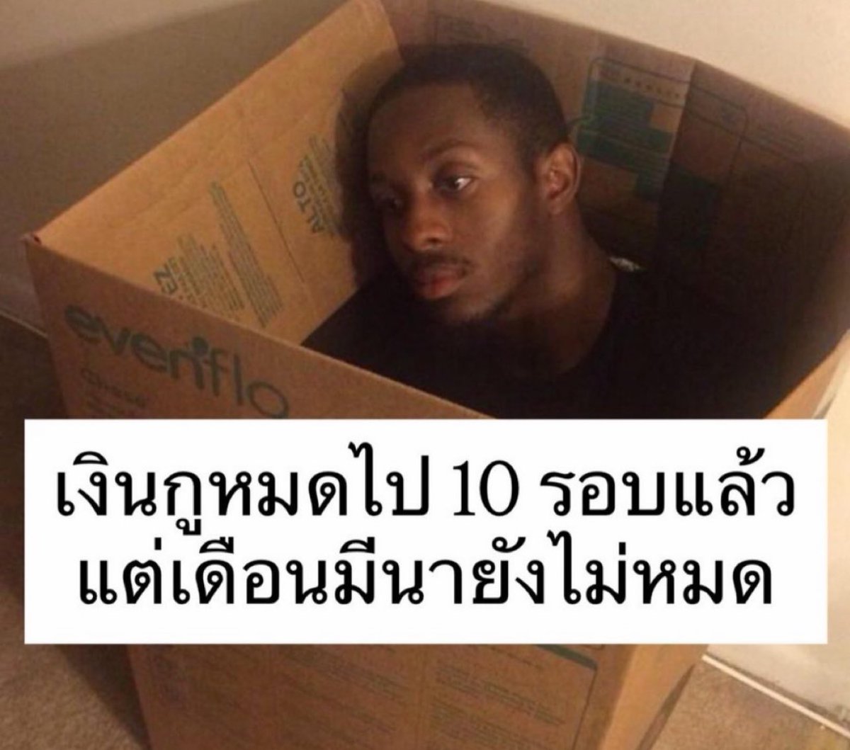ช่างแม่ง🐰🏳️‍🌈 tweet media