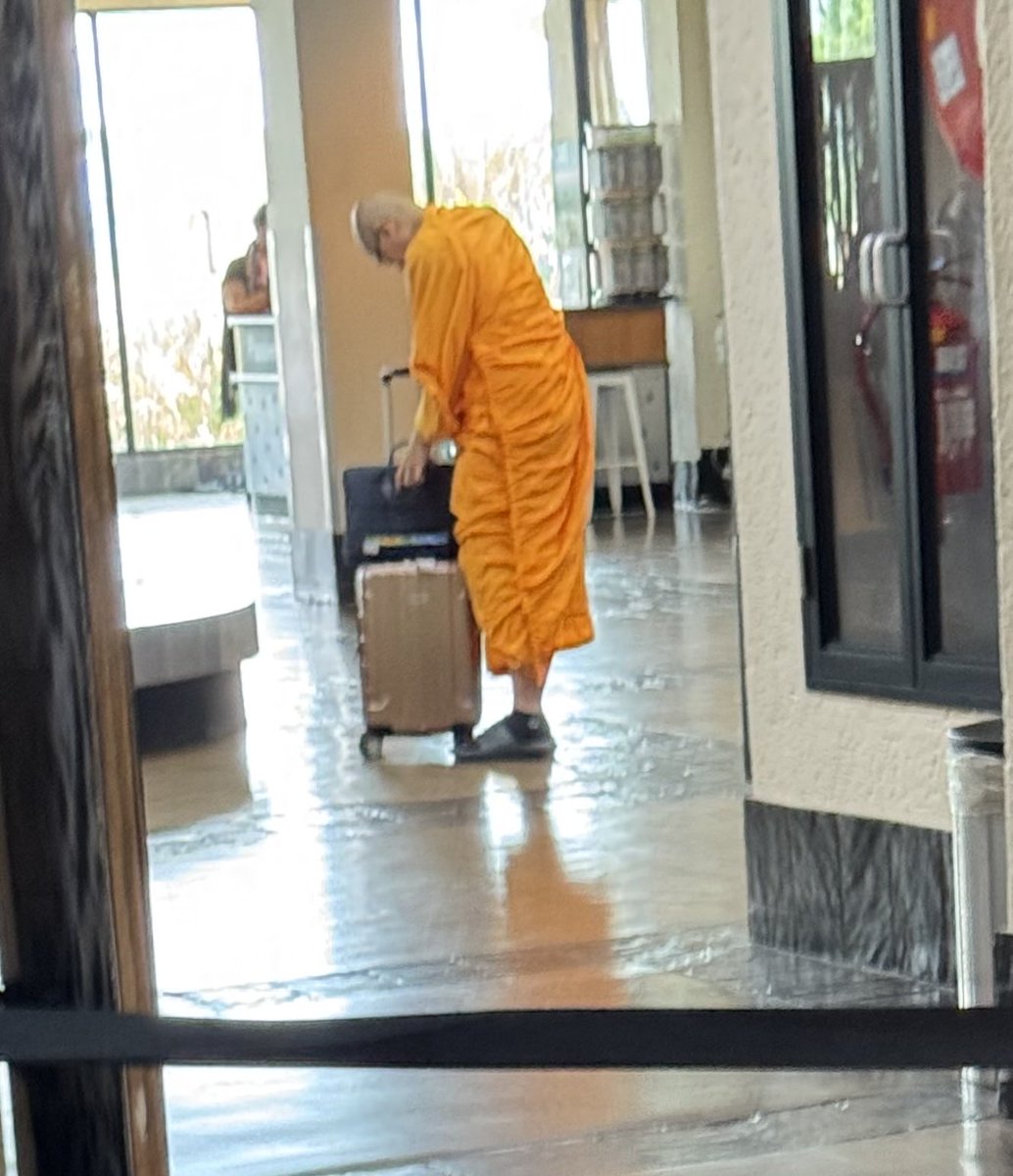 The Real KING OF THE JUNGLE tweet media