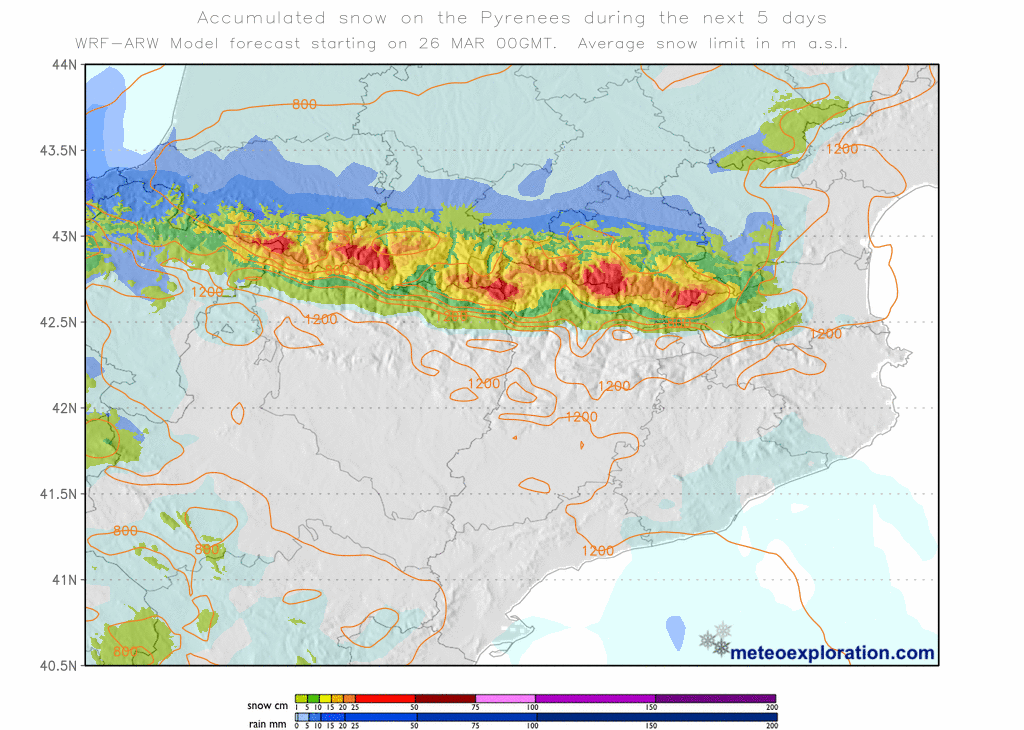 Àlex Van der Laan tweet media