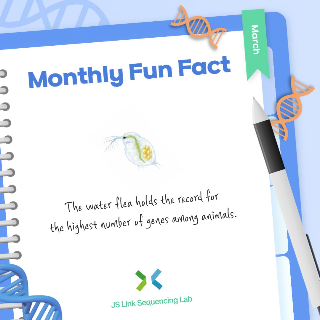 JSLinkSeqLab's tweet photo. JS Link Monthly Fun Fact 🧬

Did you know that the water flea holds the record for the highest number of genes among animals?

It contains more than 31,000 genes — compared to humans who only have about 23,000 genes — and around 35 percent of them are new to science. Its genome evolves rapidly, giving it exceptional adaptability to environmental changes like pollution.

See what other insights you can unlock through advanced sequencing technologies.
📧 info@jslink.co.kr
🔗 https://t.co/N2DZjvb6XN

#JSLinkSequencingLab #Genomics #Sequencing #NGS #DNASequencing #Science #Illumina #PacBio #CertifiedServiceProvider