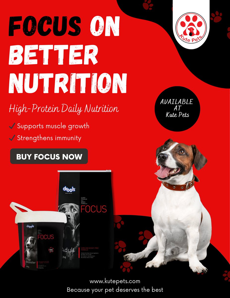 kutepetsassam's tweet photo. Happy dog energy unlocked! 🐕💥  

**Drools FOCUS** High-Protein Nutrition: Real chicken #1 ingredient → lean muscles, strong immunity, shiny coat &amp; healthy skin.

Shop: https://t.co/eSYs6GSOZ2  
Call/WhatsApp: 7002601286  

#KutePets #DroolsFocus #PremiumDogFood https://t.co/sskl2zIvQ0