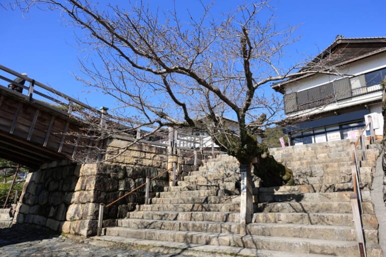 おいでませ山口へ／山口県観光連盟【公式】 tweet media