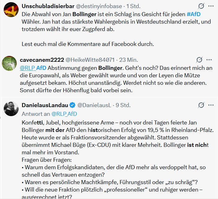 KreuzAcht's tweet photo. Selbst AfD-Wähler wundern sich über die Absetzung von Jan Bollinger: https://t.co/d6BajJO5lg