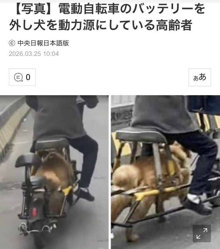 Nadia Mohammad tweet media