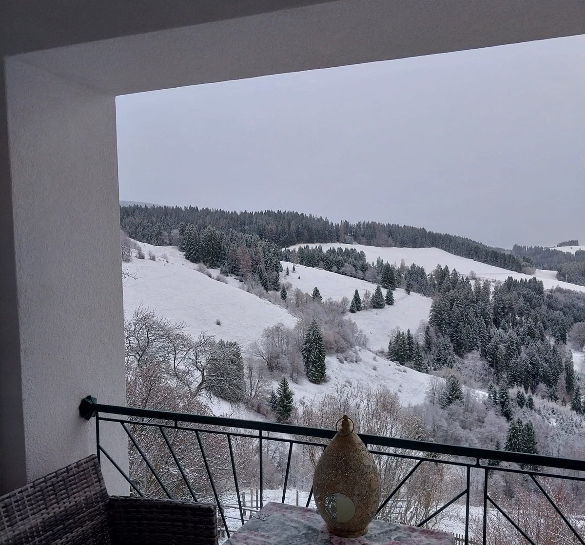 Georg Waldmensch 🌳 tweet media