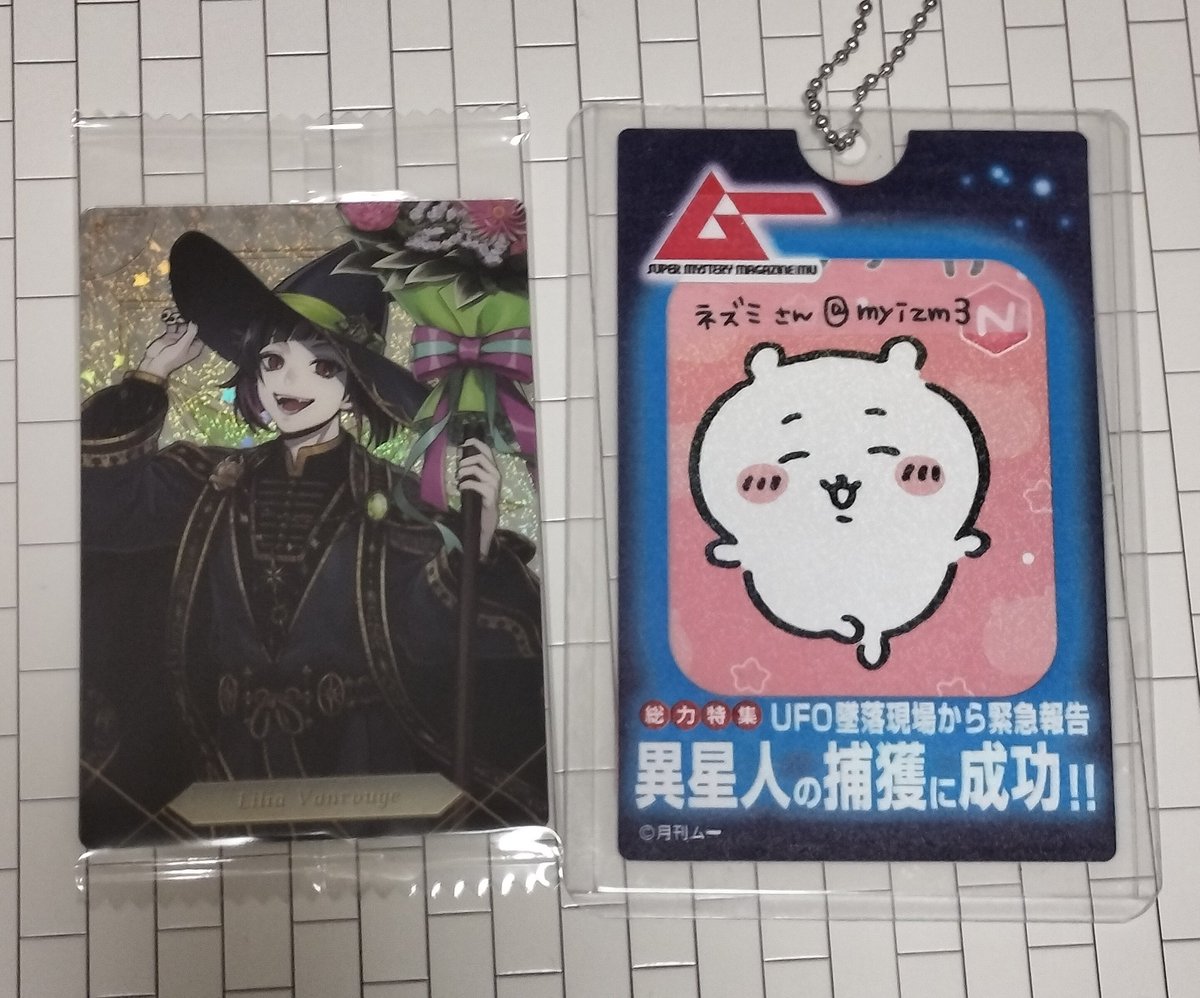 ネズミさん tweet media