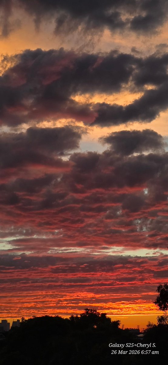 Cheryl Scheffer tweet media