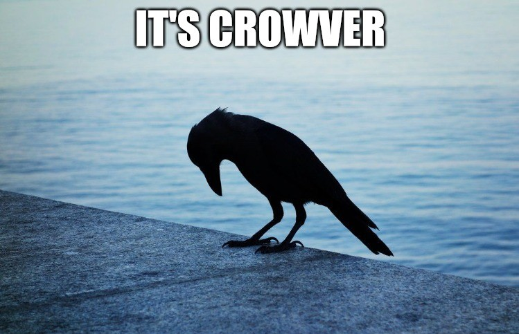 Maple 🐦‍⬛🔎 tweet media