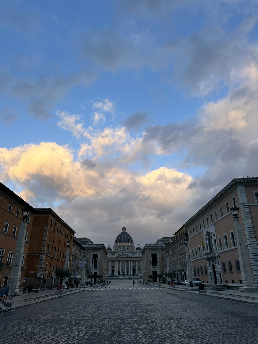 GemmaTognini tweet media