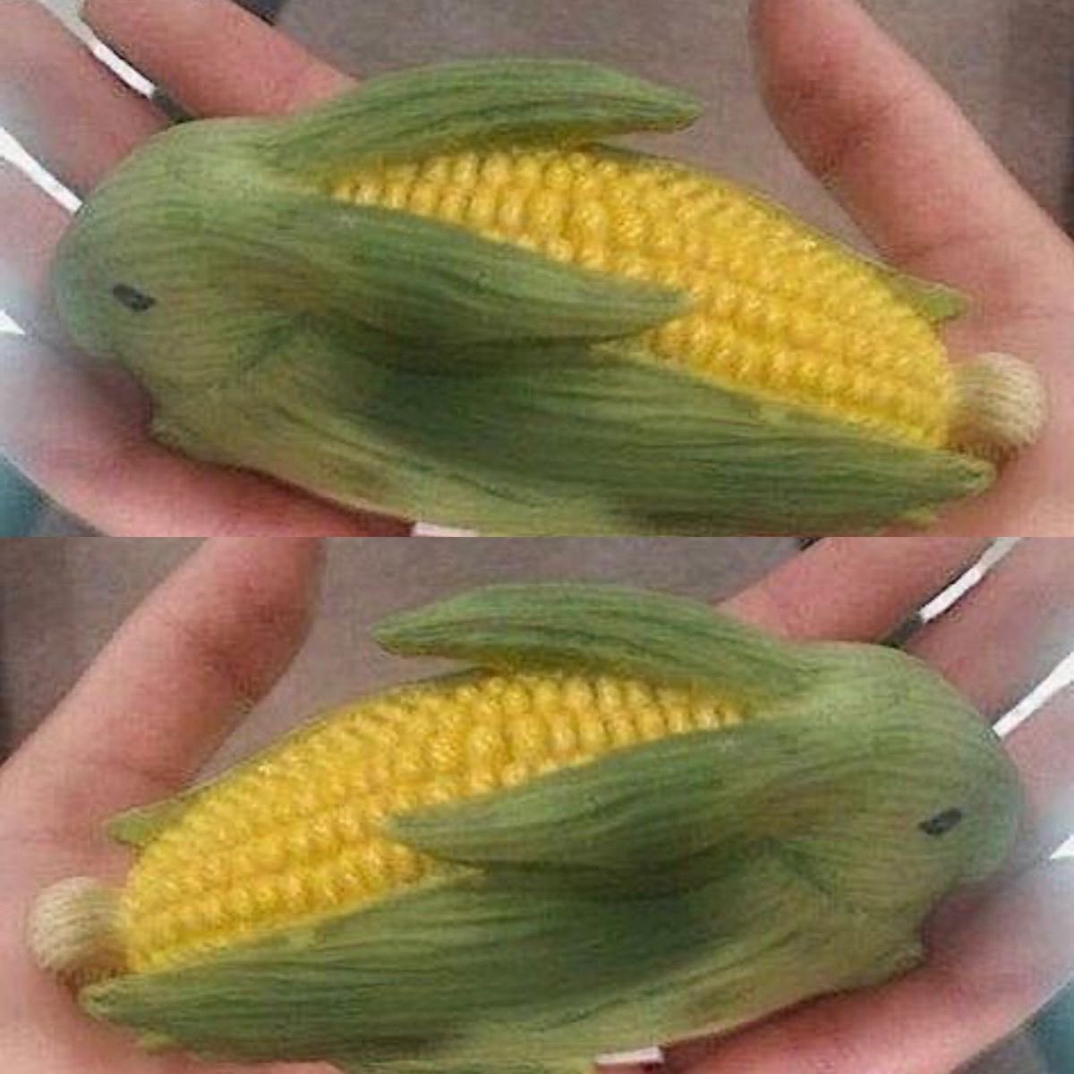 Rabbit Lovers Community USA tweet media