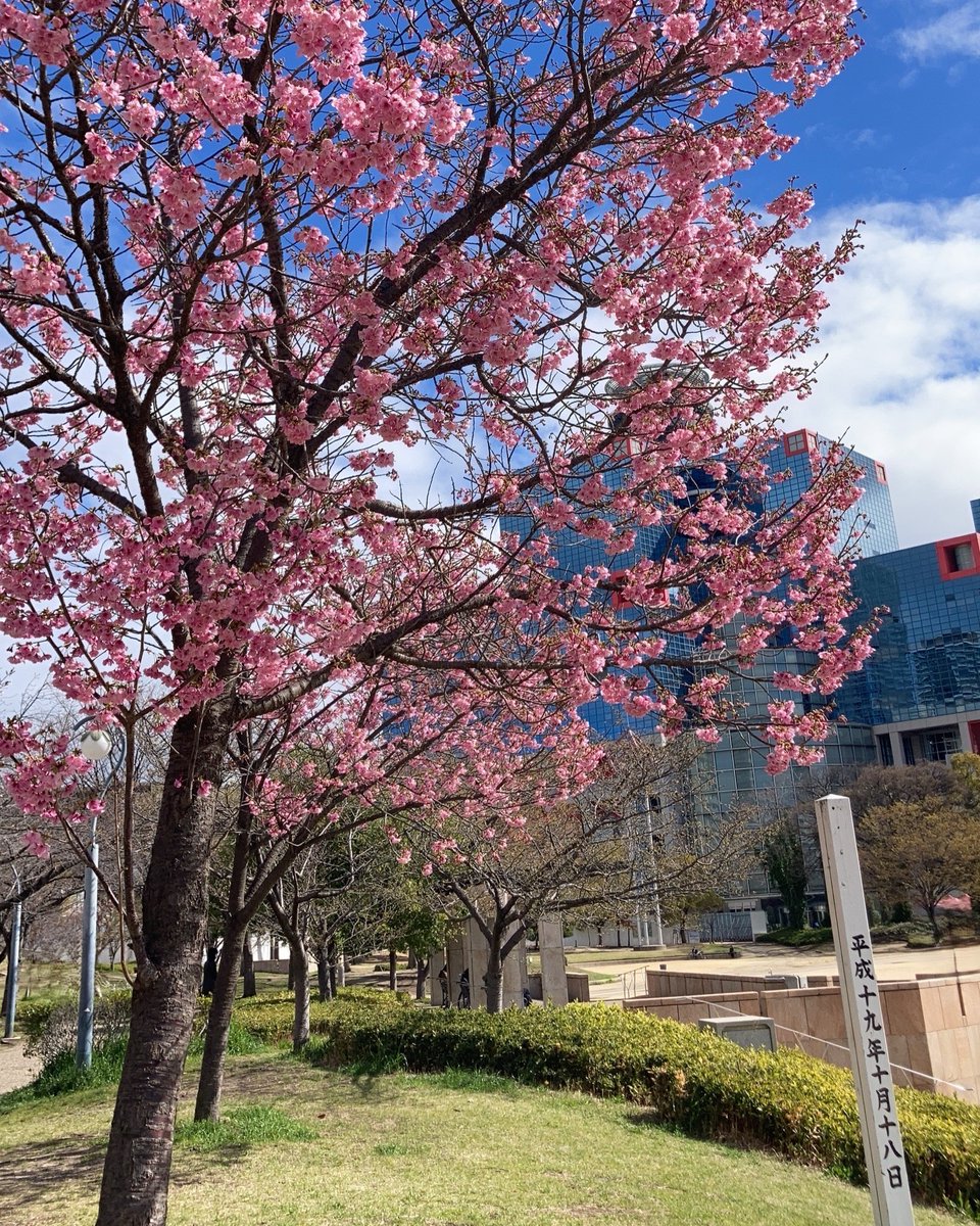 【公式】扇町公園 tweet media