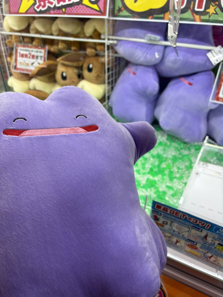 さすけ tweet media