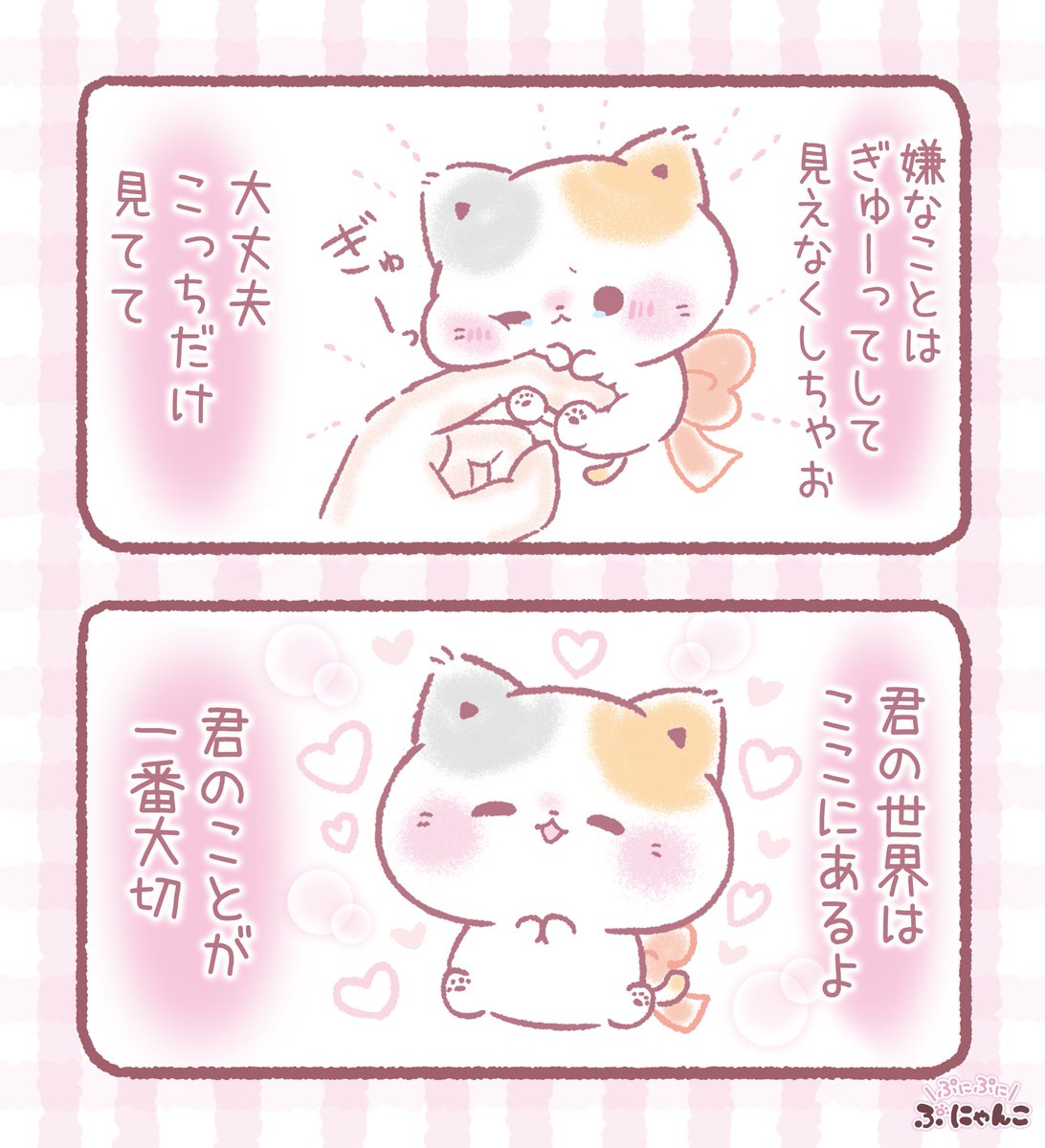 ぷにゃんこ🐾｜TOKUDOME🌼 tweet media