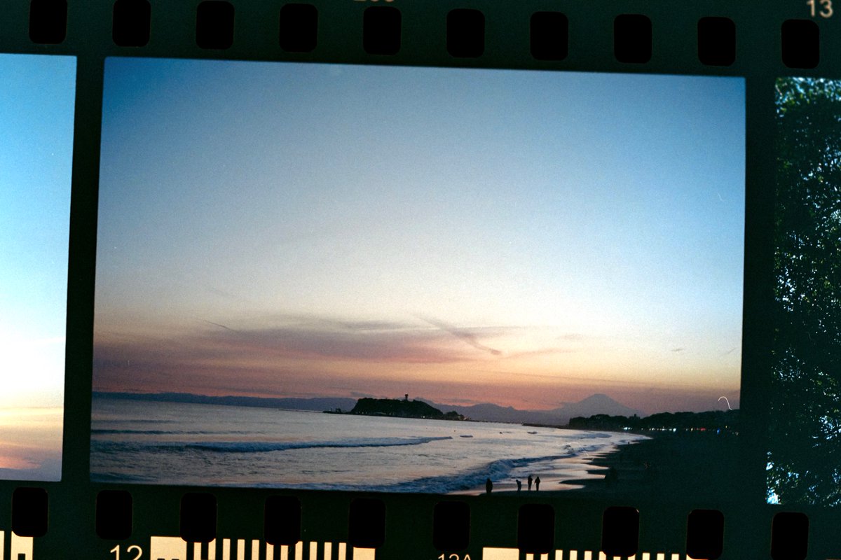 mashuu -ましゅう- tweet media